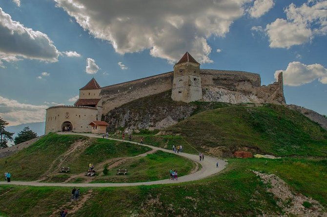 bear-sanctuary-zarnestibran-castlerasnov-fortres-w-hotel-pickup