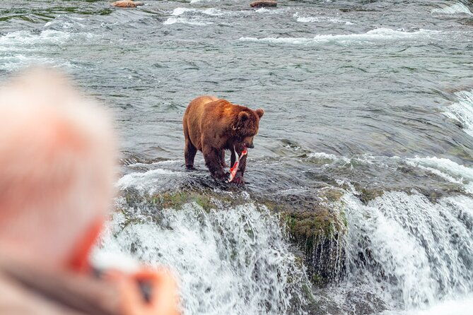 bear-viewing-at-brooks-falls-in-katmai-national-park