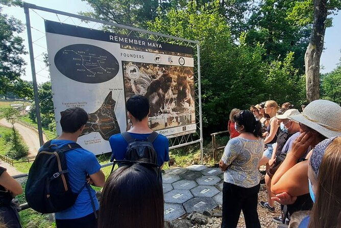 bears-sanctuary-dracula-castle-and-poiana-brasov-private-day-tour-from-brasov