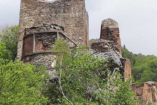 bears-sanctuary-draculas-castle-brasov-day-trip-private-tour-from-bucharest