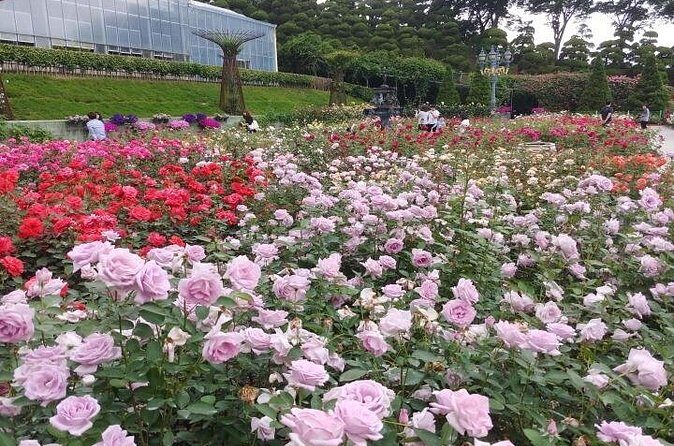 Beartree Park with Admission Ticket to Arboretum in Sejong - FAQ