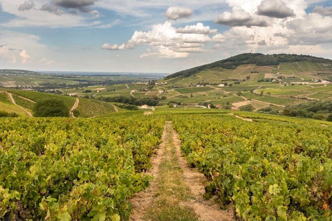 beaujolais-100-wine-tour-small-group-tour-with-tasting-from-lyon-4