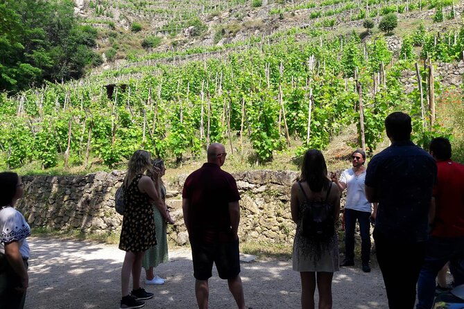beaujolais-100-wine-tour-small-group-tour-with-tasting-from-lyon-4