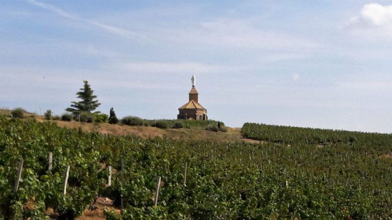 beaujolais-half-day-wine-tour