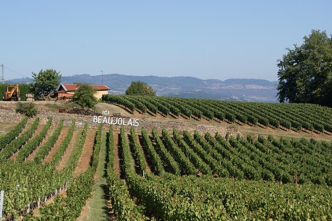Beaujolais & Perouges Medieval Town (9:00 am to 5:15 pm - Small Group Tour Lyon - The Itinerary: A Closer Look