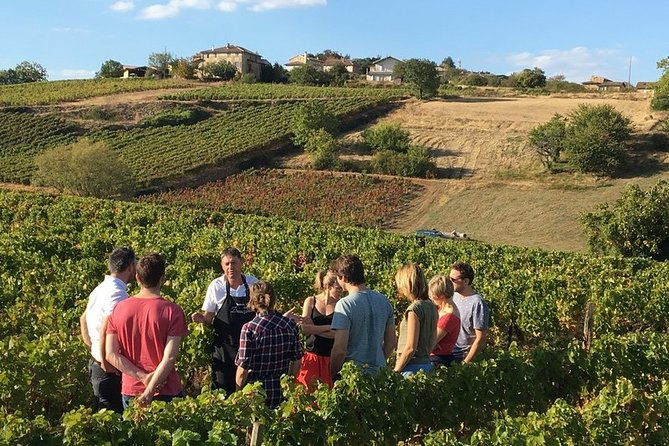 beaujolais-perouges-medieval-town-private-tour-full-day-from-lyon