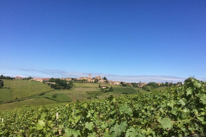 beaujolais-perouges-medieval-town-private-tour-full-day-from-lyon