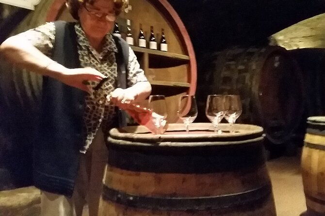 beaujolais-region-wine-tasting-private-day-tour-from-lyon
