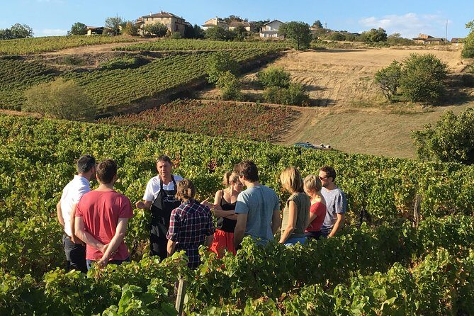 Beaujolais Wine Discovery - Half Day - Small group tour from Lyon - Who Will Enjoy This Tour?  