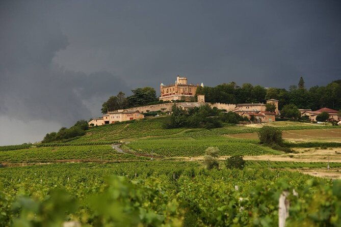 beaujolais-wine-tour-tastings-gourmet-picnic-lunch