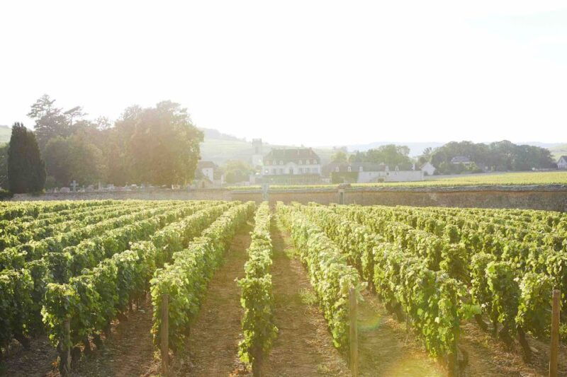 beaune-wine-tasting-at-chateau-de-pommard