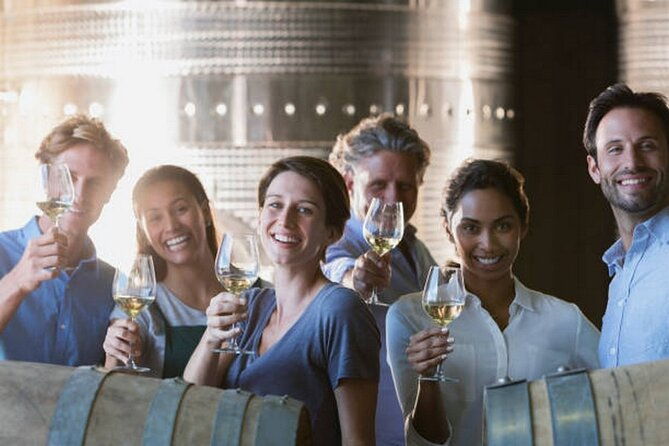 beaune-wine-tour-wine-tasting-included-professional-guide