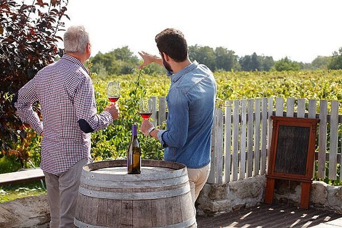 beaune-wine-tour-wine-tasting-included-professional-guide