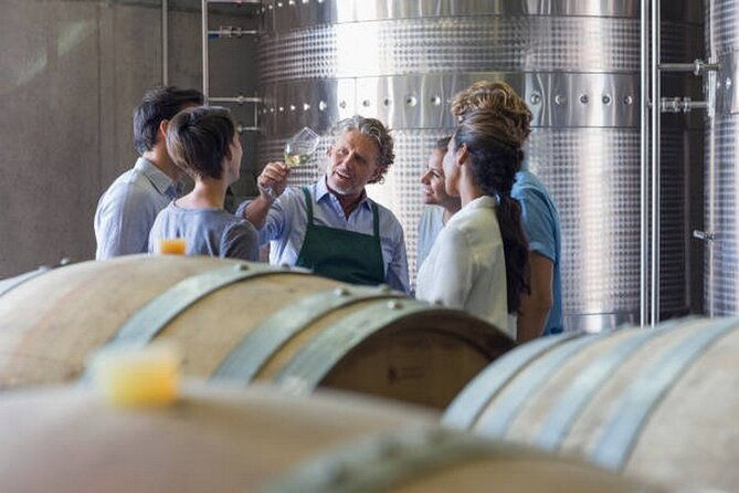 beaune-wine-tour-wine-tasting-included-professional-guide