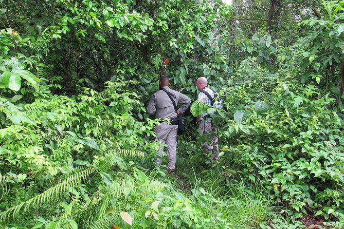 beautiful-birding-pipeline-road-from-amador-cruise-port-panama