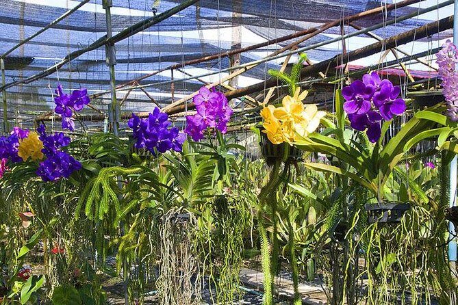 Beautiful Phuket City Tour - Frequently Asked Questions