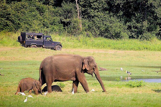 Beautiful Sri Lanka in Express: 6 Days & 5 Nights | Private Tour - Who is This Tour Best For?