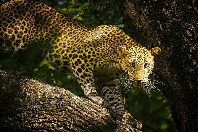 Beautiful Sri Lanka in Express: 6 Days & 5 Nights | Private Tour - Final Thoughts