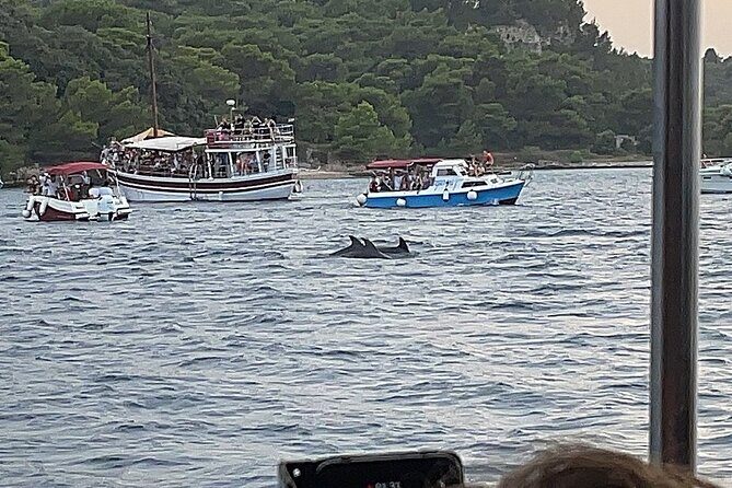 Beautiful Sunset and Dolphin Watching - Discovering the Sunset and Dolphins in Istria, Croatia