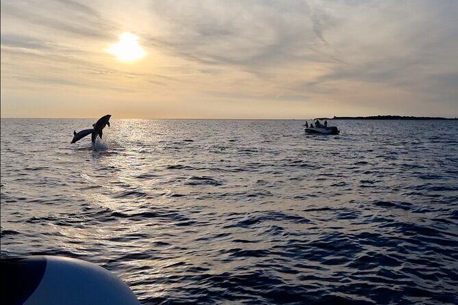 Beautiful Sunset and Dolphin Watching - Key Points