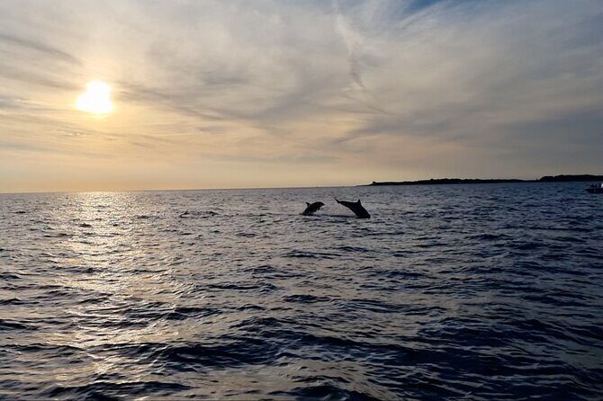 Beautiful Sunset and Dolphin Watching - Is This Tour Worth It?