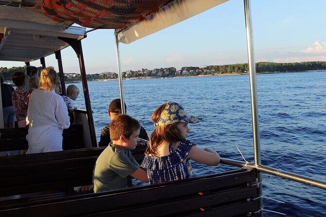 Beautiful Sunset and Dolphin Watching - Who Should Book This Tour?