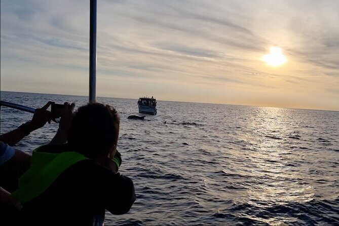 Beautiful Sunset and Dolphin Watching - Final Thoughts