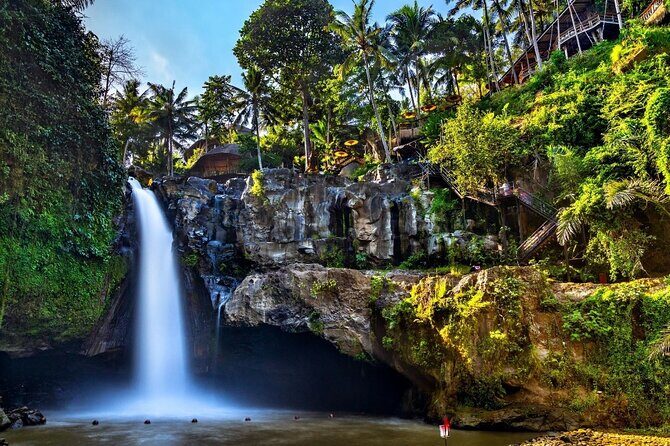Beautiful Ubud Full Day Tour - An Overview of What to Expect