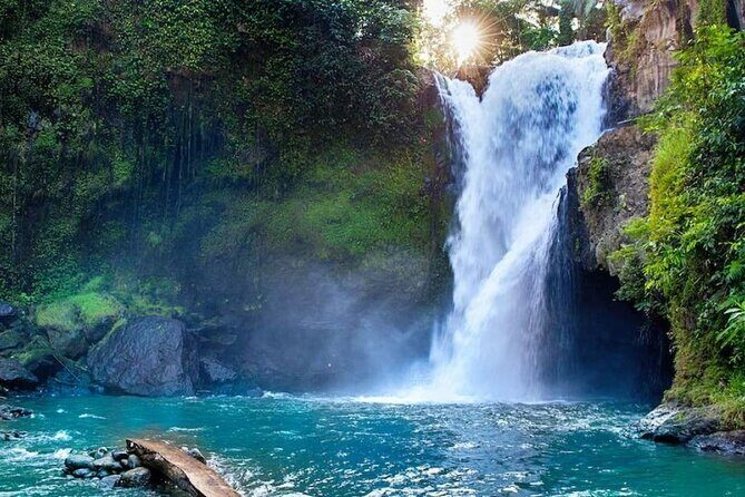 Beautiful Ubud Full Day Tour - Who This Tour Suits Best