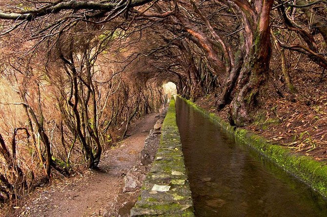beautiful-walks-in-rabacal-madeira