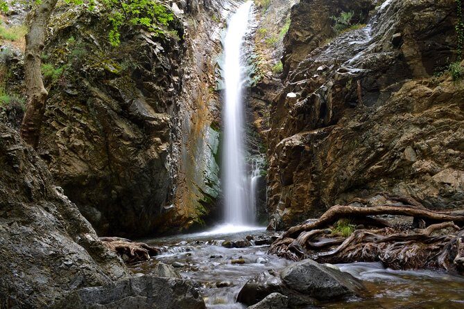 Beauty, Nature and Charm of Troodos Mountains from Paphos - What to Expect from the Experience