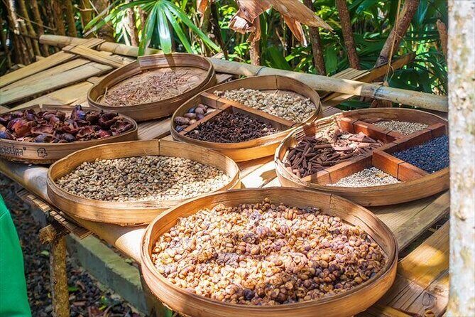 Beauty of Ubud, Rice Terrace, Temple, Monkey Forest, Waterfall - Detailed Breakdown of the Itinerary