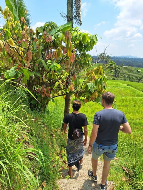 beauty-the-nature-north-of-bali-tour