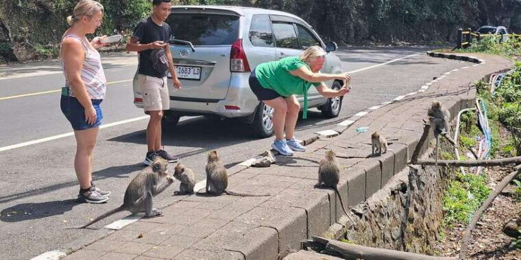 beauty-the-nature-north-of-bali-tour