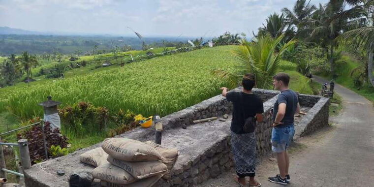 beauty-the-nature-north-of-bali-tour