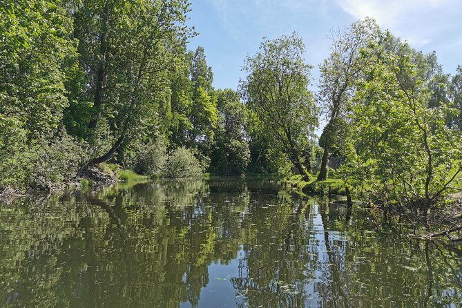 beaver-safari-on-stand-up-paddleboard-in-hokksund