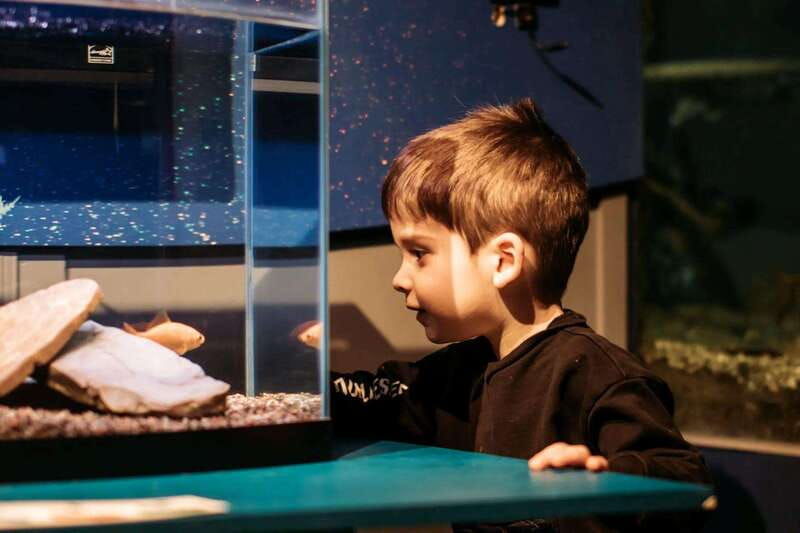 becancour-biodiversity-museum-visit