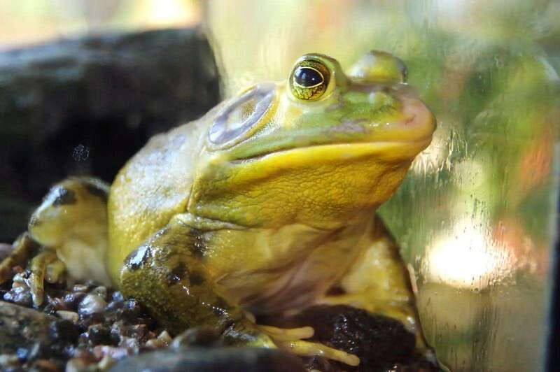 becancour-biodiversity-museum-visit