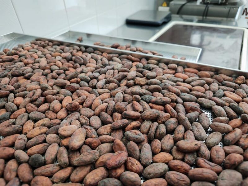 become-a-chocolatier-for-a-day
