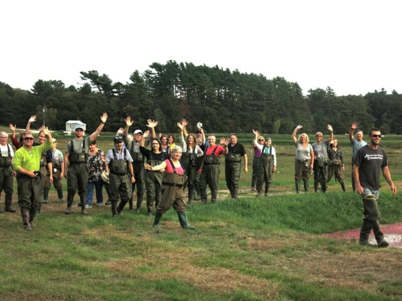 Become A Cranberry Bogger for a Day Experience - Why Choose This Tour?