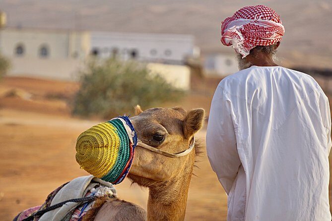 Bediyah: Camel Safari through the Wahiba Sands Desert - Key Points