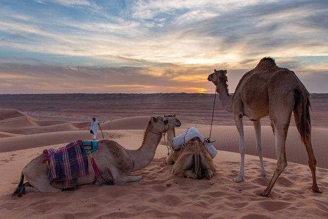 Bediyah: Under the Arabian starry sky - looking at the stars - An In-Depth Look at the Bediyah Desert Overnight Tour