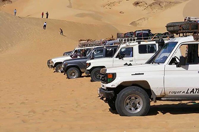 Bedouin BBQ in the Egyptian Desert by 4x4 - The Experience: What Travelers Are Saying