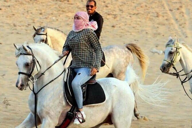 Bedouin Dinner, Egyptian Show and Horse Ride tour 1 Hour - Sharm El Sheikh - Key Points