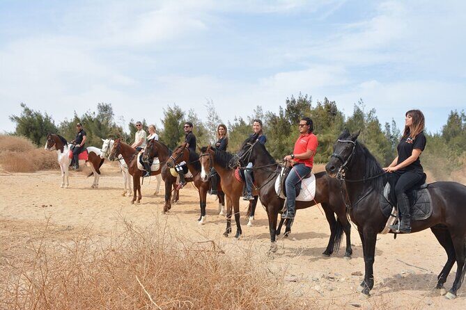 Bedouin Dinner, Egyptian Show and Horse Ride tour 1 Hour - Sharm El Sheikh - The Sum Up