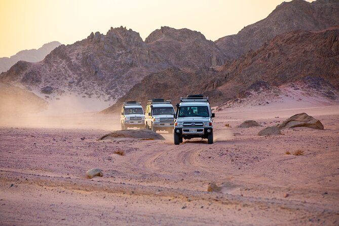 Bedouin Village Jeep Safari with Dinner & Camel Ride In Hurghada - Key Points
