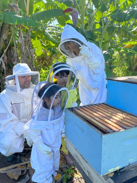 bee-farm-tour-honey-tasting