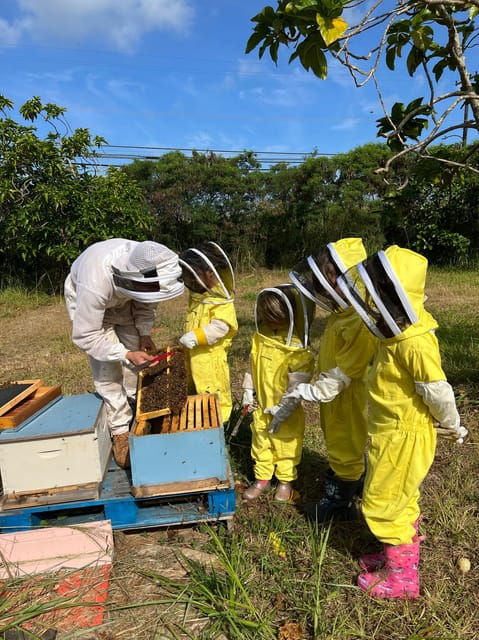 bee-farm-tour-honey-tasting
