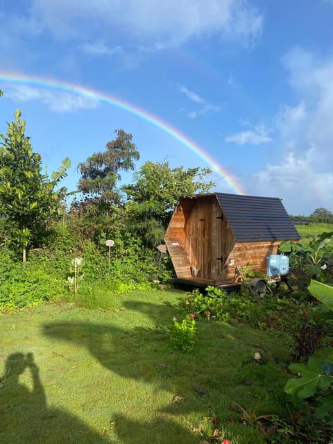 bee-farm-tour-honey-tasting
