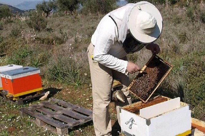 beekeeper-for-a-day-close-to-nafplio